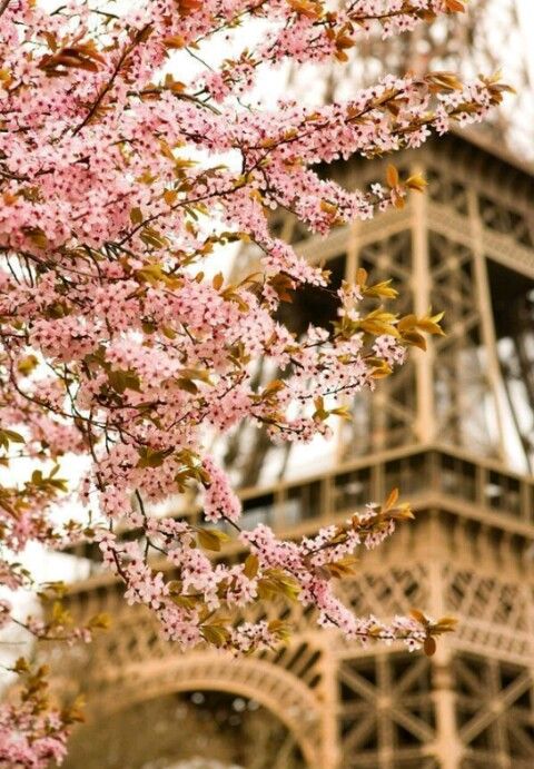 parisinspring