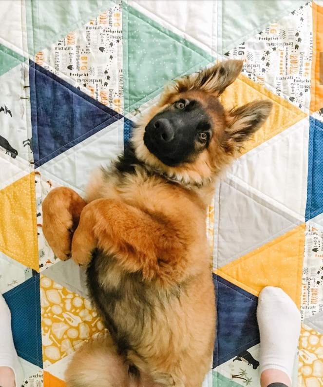 My Stitching Journel