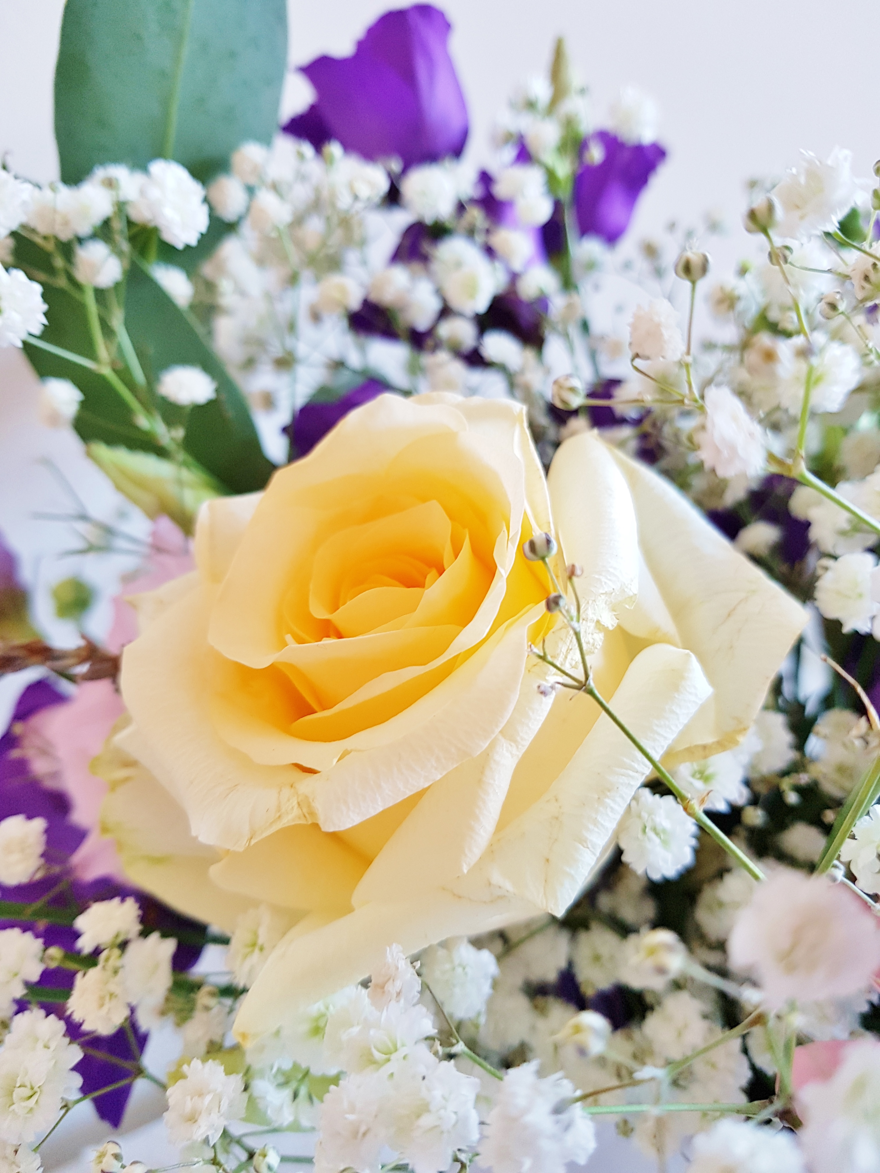 2020-02-26 14.18.56.jpg