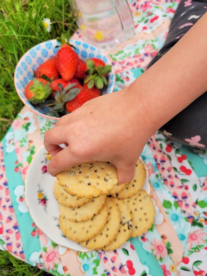 Summer Picnic - Mini Picnic Blanket
